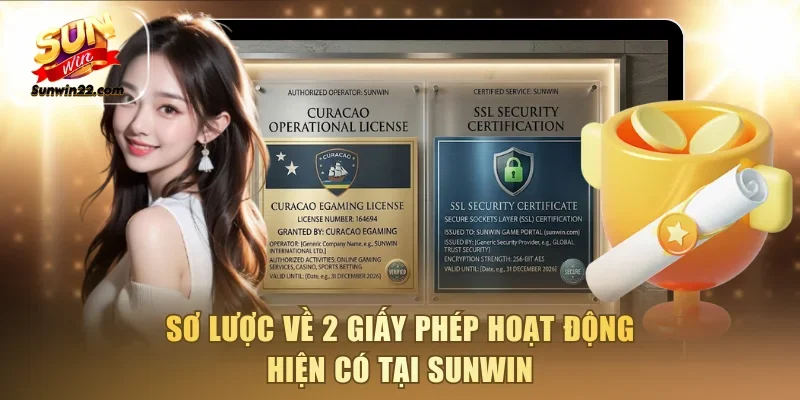 Sơ lược về 2 giấy phép hoạt động hiện có tại Sunwin
